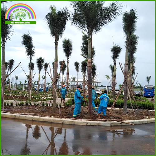 Planting trees