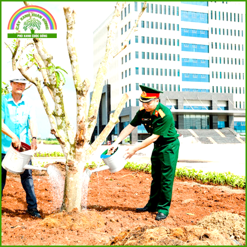 Planting trees