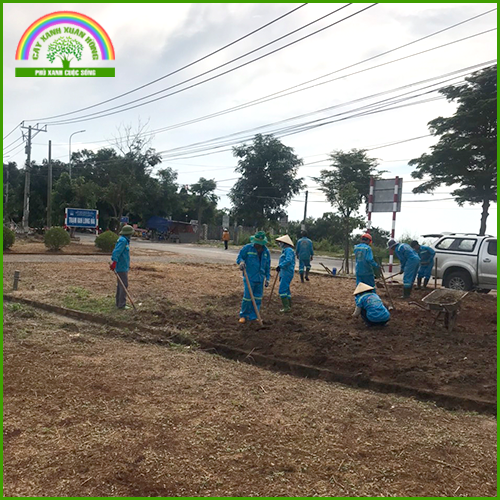 Planting trees
