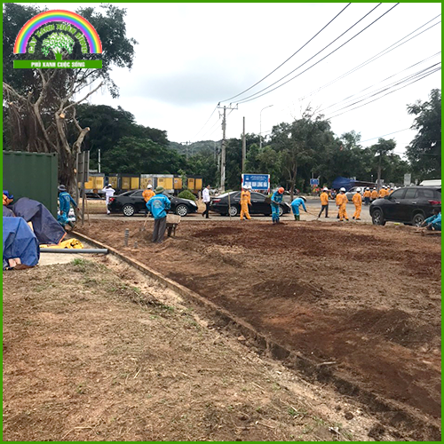Planting trees